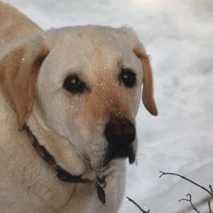 Meet your Posher, Heidi